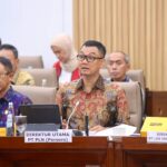 PLN Ajukan 3 Triliun PMN 2025 Untuk Bangun Kelistrikan Daerah Terpencil