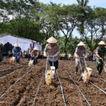 Pariwisata di era globalisasi khususnya Sumber Daya Manusia (SDM) di Kota Bitung